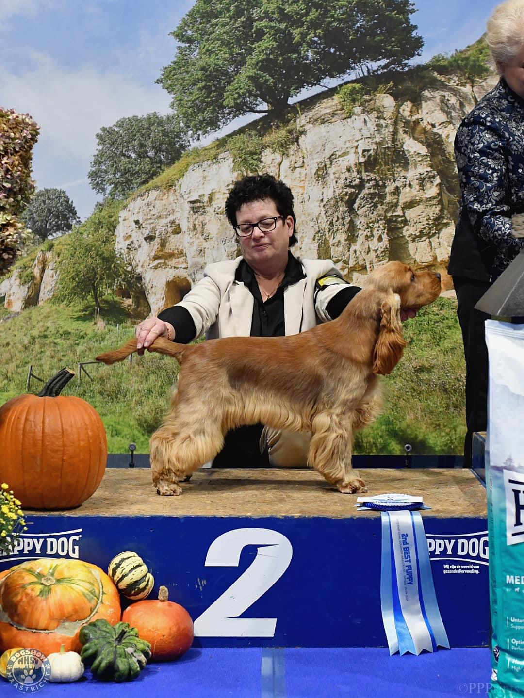 WhatsApp%20Image%202024 10 24%20at%2015.05.48