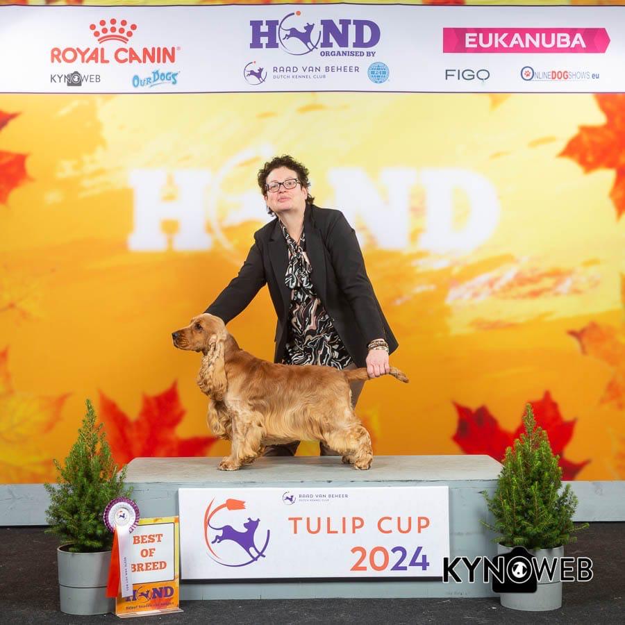 WhatsApp%20Image%202024 12 03%20at%2020.23.47