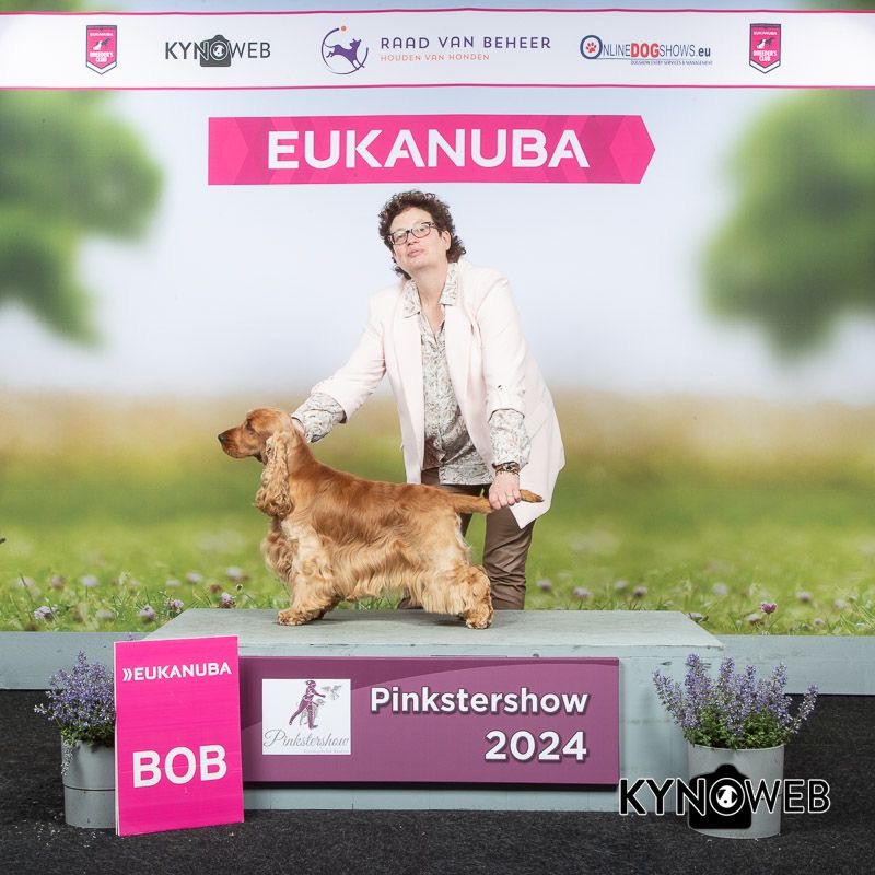 WhatsApp Image 2024 05 21 At 08.18.14