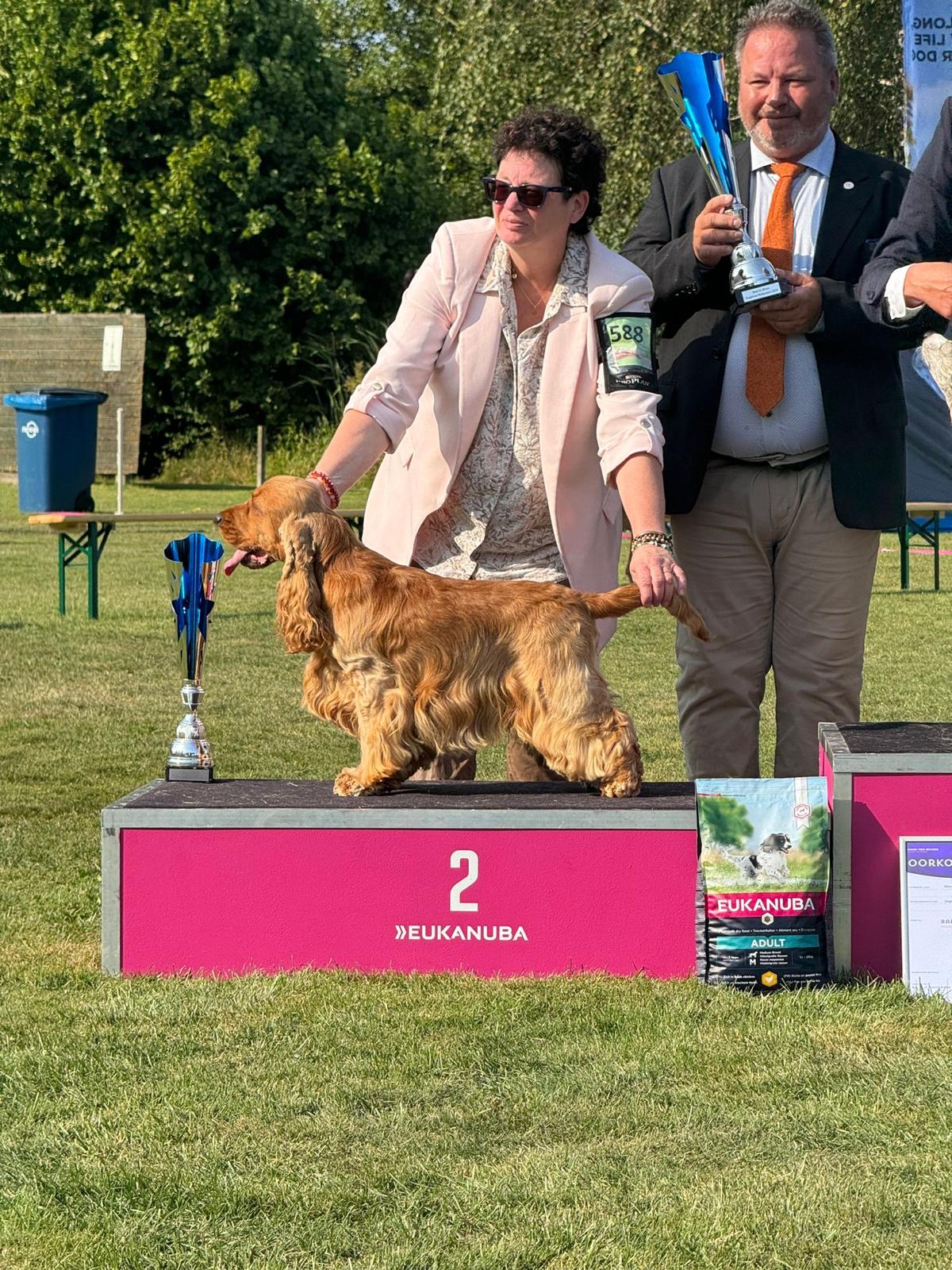 WhatsApp Image 2024 09 02 At 15.41.01