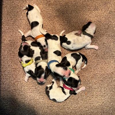 Whatsapp Image 2025 08 08 At 10.55.56 1