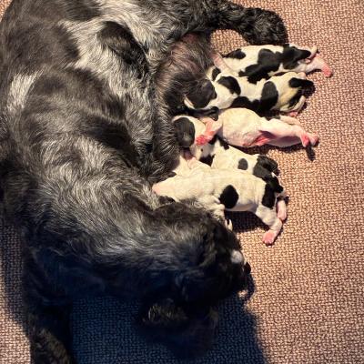 Whatsapp Image 2025 08 08 At 10.55.56