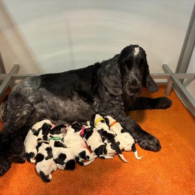 Whatsapp Image 2025 08 14 At 08.57.50