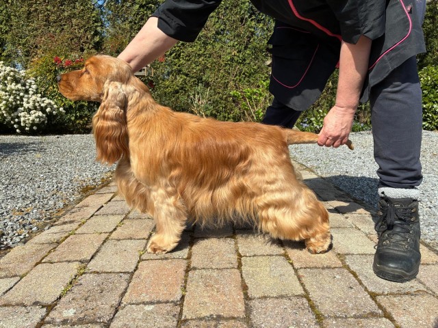 09b7d3a4 2162 4c3c 9a1f 5f44ec2ce80e 640x480