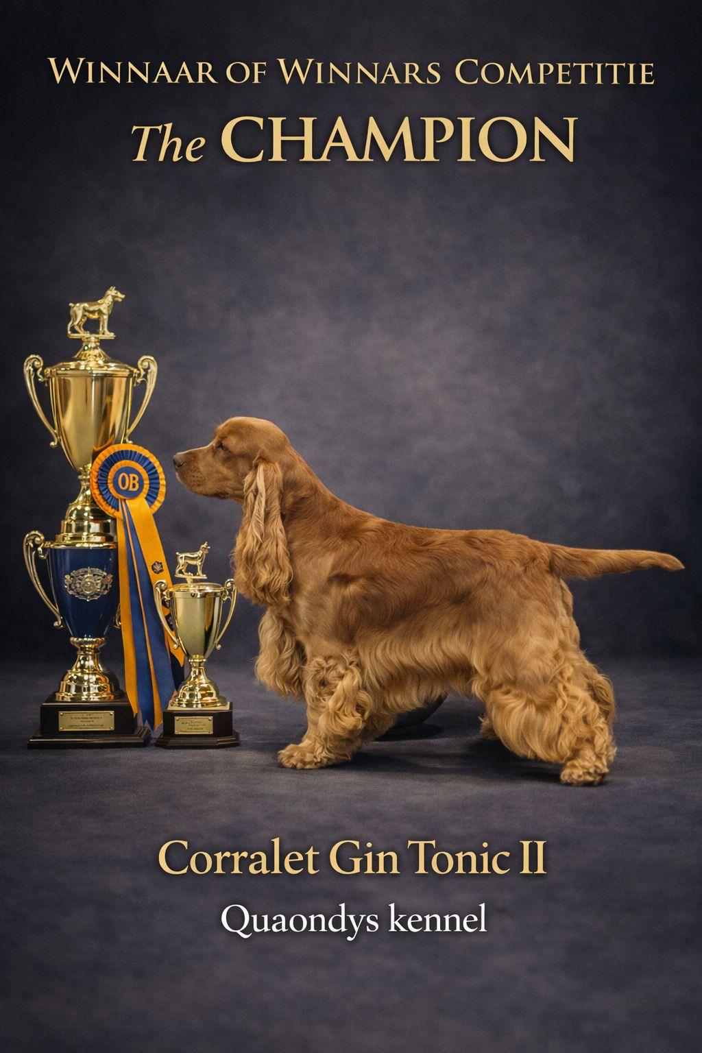 2569e5a3 A78e 4be0 9535 92d4b959d3dd